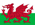 Welsh