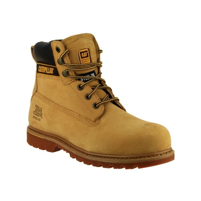 Holton caterpillar sales