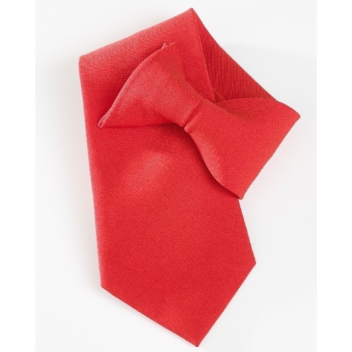 Mens Clip On Tie