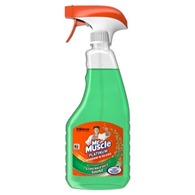 Mr Muscle Spray Cleaner 500ml Window